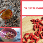 Les baies de goji