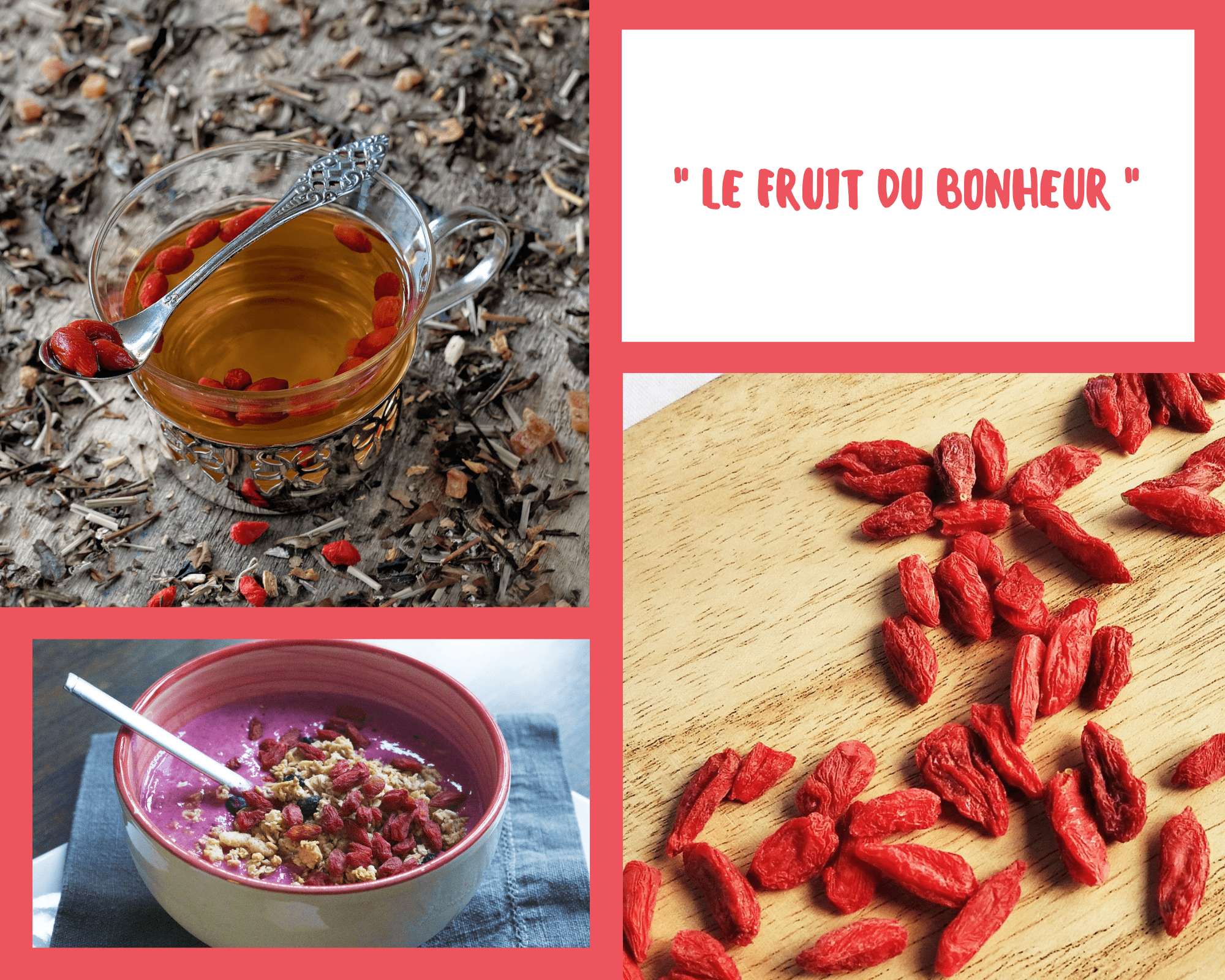 Les baies de goji