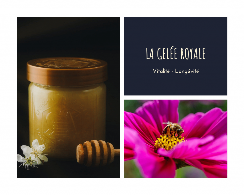 Supers Aliments Gelée royale