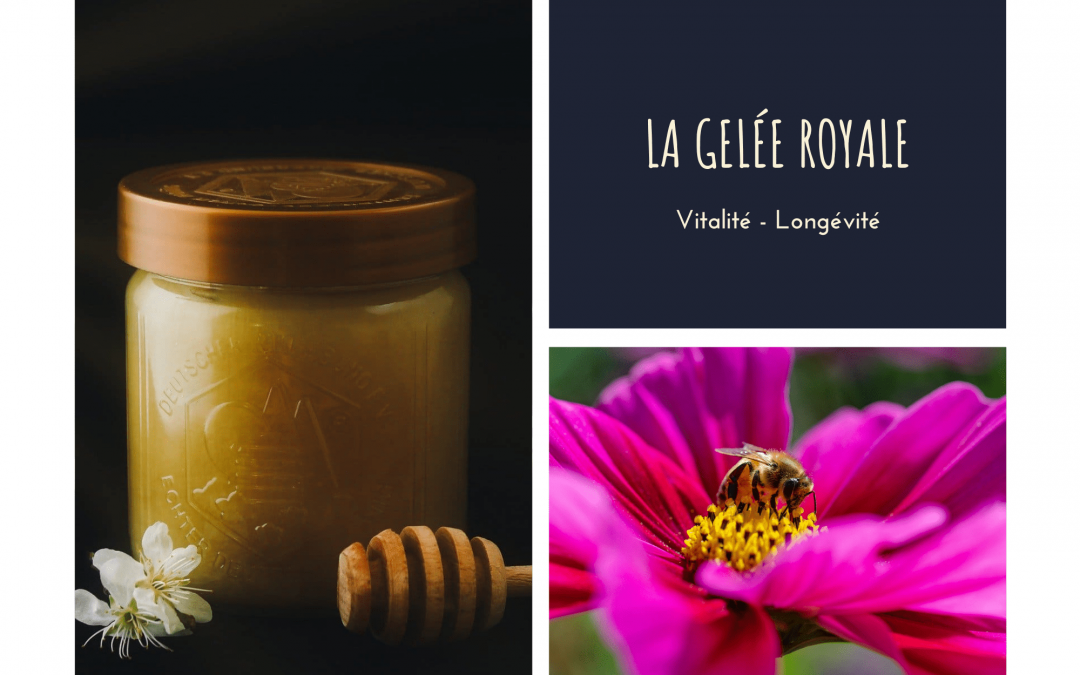 Gelée Royale Forever - Complément Alimentaire Super Vitamines - 60 Gélules (15g) - Naturel, Certifié B Corp