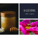 Supers Aliments Gelée royale