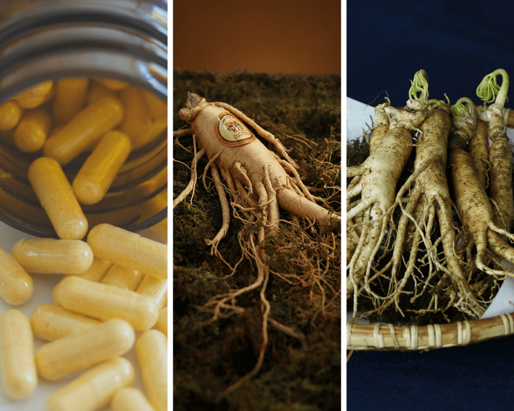 Le ginseng