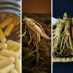 Le ginseng